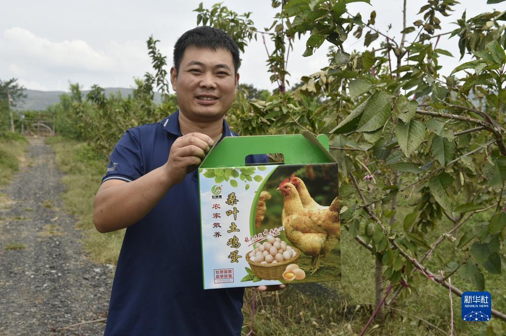 白菜全网讯